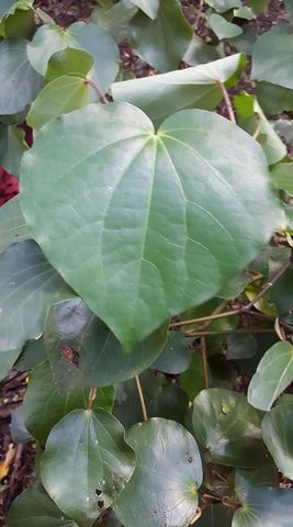 17523139 1866284150253328 1505512663620934684 n