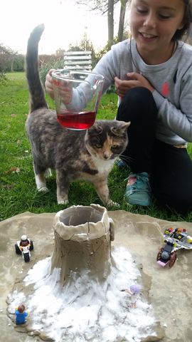 19179629 10207148295345547 493287976 o