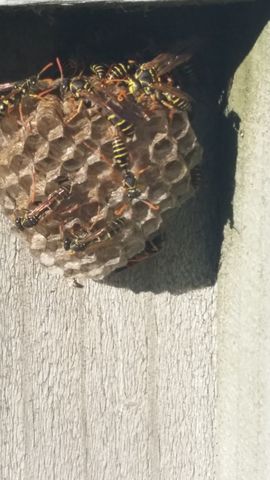 20170419 161203