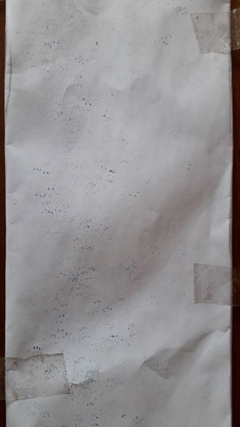 20200425 115716