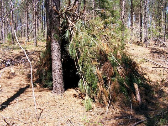 Bivvy