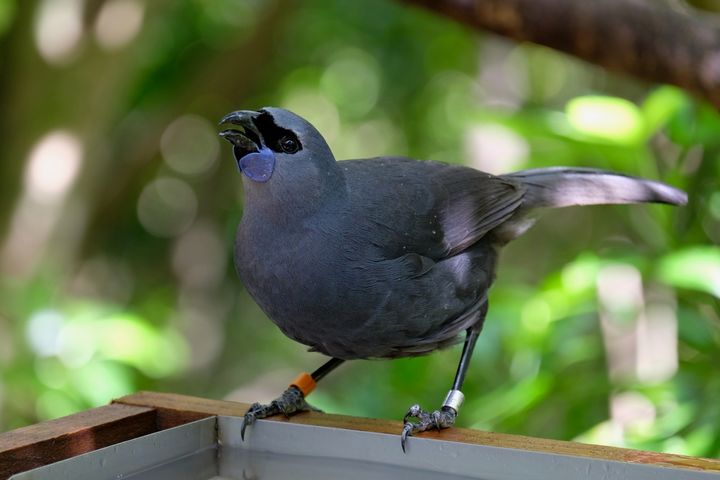 DSCF9771 Version 2