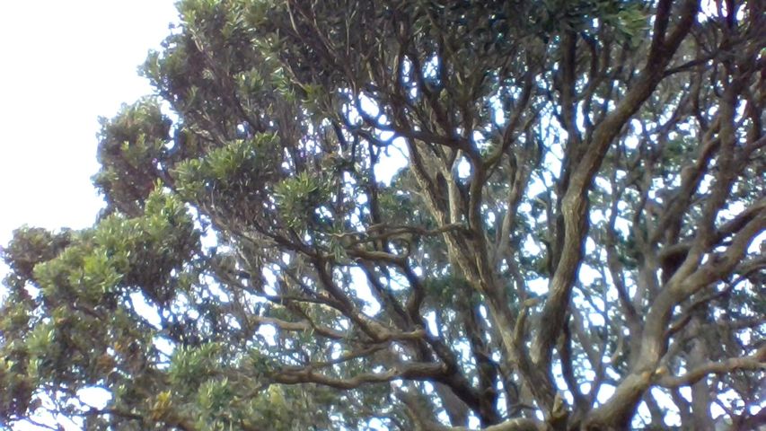 IMG 20170628 141537