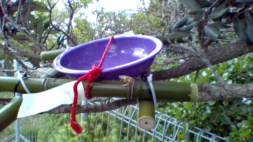 IMG 20170628 142150