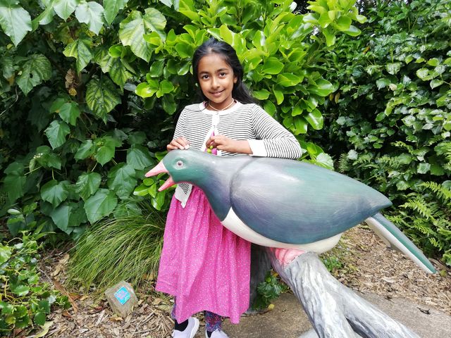 IMG 20191115 175956
