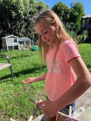 IMG 3119