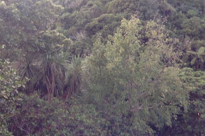 Photo on 18 04 17 at 4.11 pm