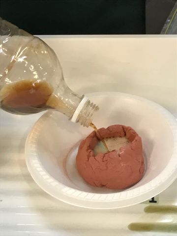 Rhys Vinerger Poring Photo Thing