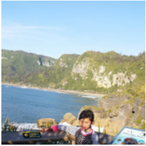 Screenshot 2017 03 07 at 8.51.39 AM