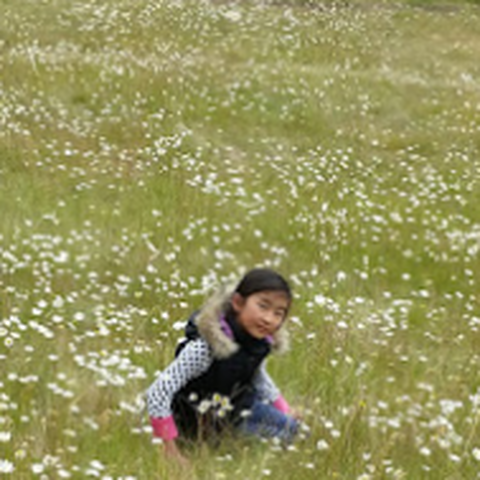 Screenshot 2017 03 07 at 8.52.15 AM