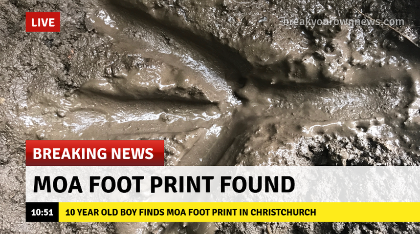 Screenshot 2017 03 14 at 10.52.37 AM