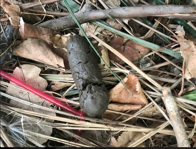 Screenshot 2017 03 21 at 09.46.08