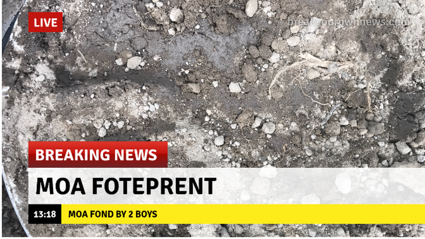 Screenshot 2017 03 21 at 1.20.26 PM