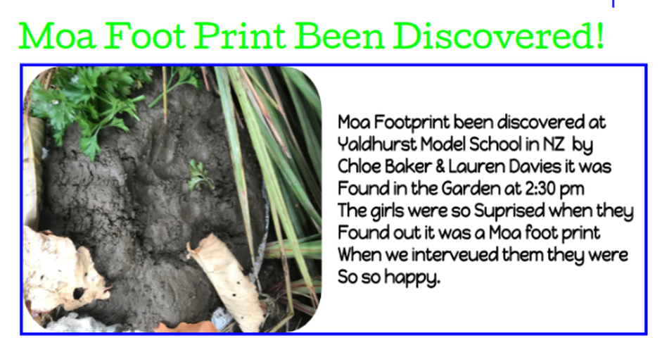 Screenshot 2017 03 21 at 11.07.10 AM