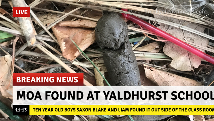 Screenshot 2017 03 21 at 13.15.42