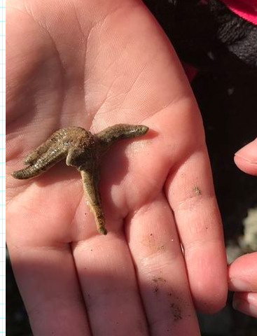 Screenshot 2017 04 11 at 10.12.48