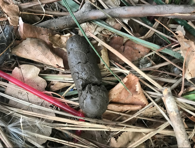 Screenshot 2017 04 12 at 10.14.59 AM