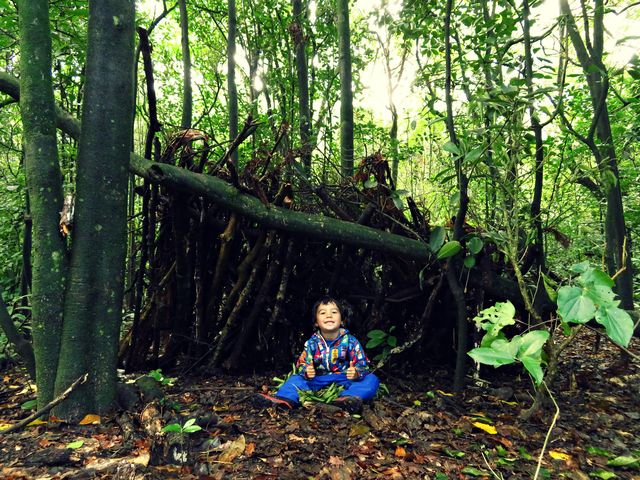 Spider Boy GoWildWhatNow