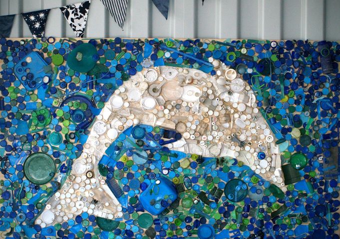 Sustainable Coastlines dolphin