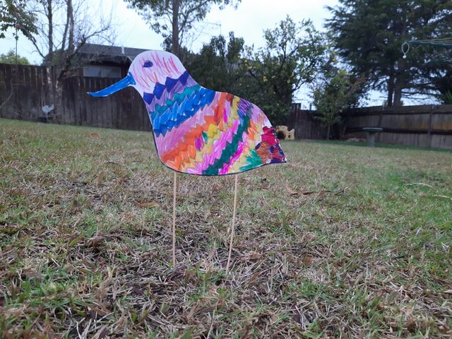 bird