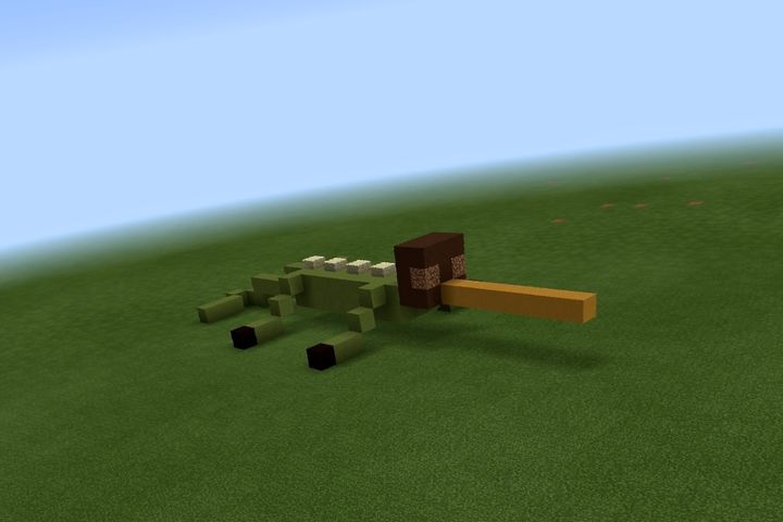 image6