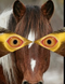 Screenshot 2017 02 14 at 11.20.41.7
