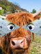coo3.12