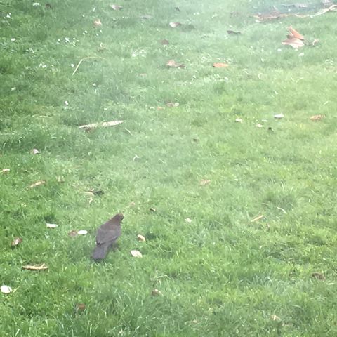 791EA905 041F 47B8 993F 6DC1CC478CDD