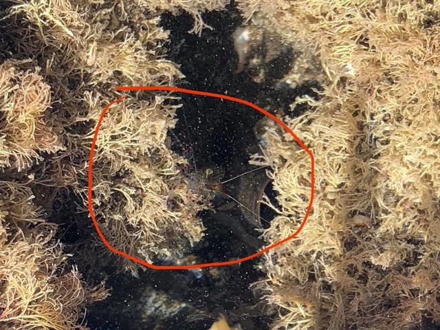 7BFACD88 E081 4033 A991 C35780586751