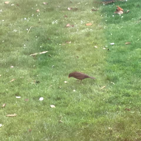 8DE48A41 7053 41B6 A4F8 B20A02668A37