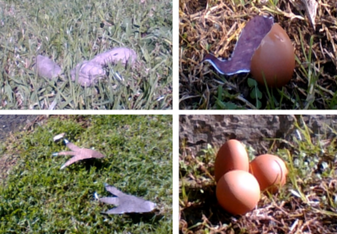 Screenshot 2017 07 11 at 12.35.29 PM