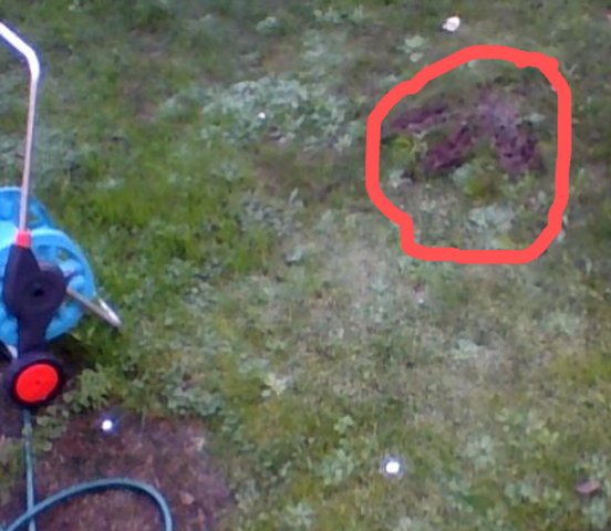 Screenshot 2017 07 11 at 2.10.09 PM