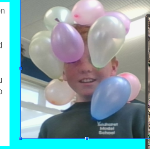 Screenshot 2019 11 19 at 10.03.55 AM