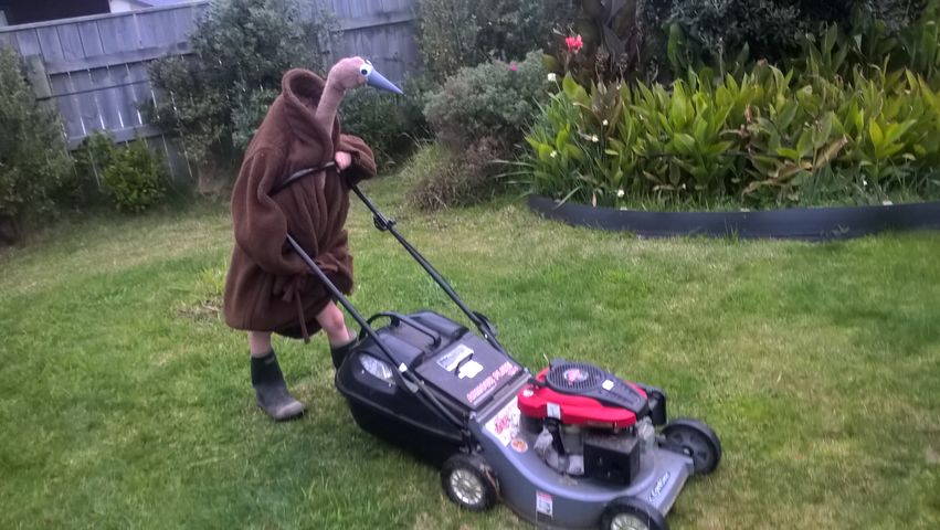 WP 20170604 16 35 54 Pro