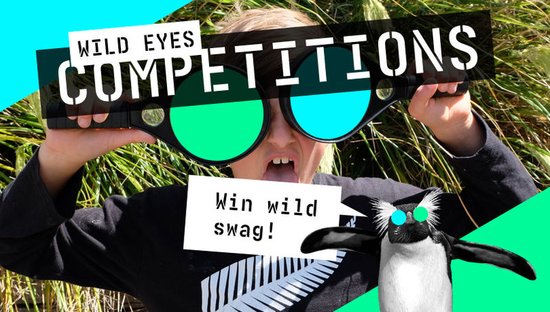 Feature image of Competitions