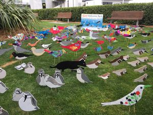 Christchruch airport 1